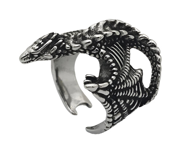 Dragon flying ring #12