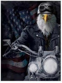 3D Deep Eagle on Bike